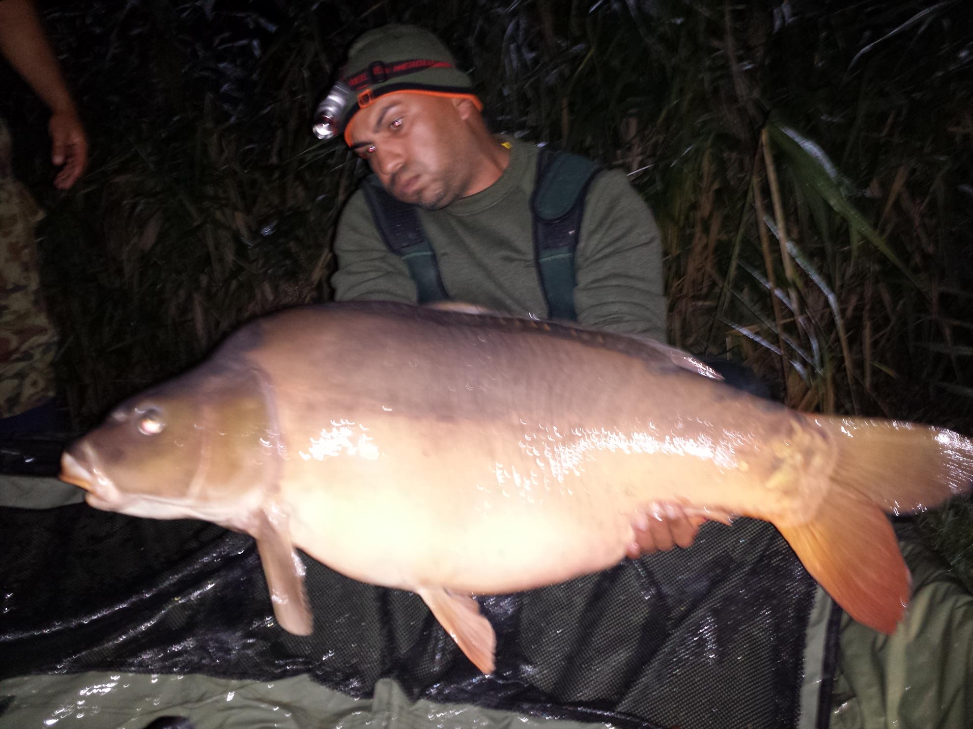 Harsany 2014 - 20,200kg